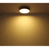 plafon-led-24w-doro-416080wd2r-globo-material-dominujacy-metal