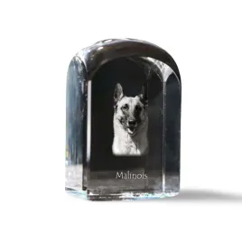 malinois-owczarek-belgijski-krysztalowa-kostka-ze-zdjeciem-zdjecie-psa-w