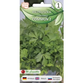 pietruszka-naciowa-o-lisciach-gladkich-commun-2-2g-seria-bazowa-legutko