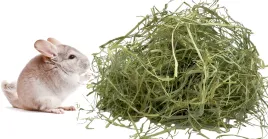 siano-dla-psa-do-budy-material-gniazdowy-naturalny-pokos-z-traw-od-rolnika