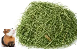 swinkamorska-siano-od-rolnika-swinki-morskiej-sianko-swinek-morskich-4kg