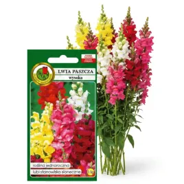 lwia-paszcza-wysoka-mieszana-05g-nasiona-piekne-kwiaty