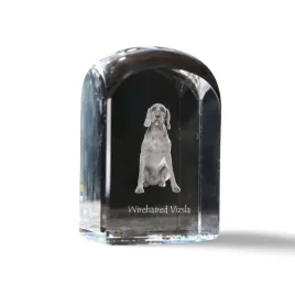 wyzel-krysztalowa-kostka-ze-zdjeciem-zdjecie-psa-w-krysztale-szescienny