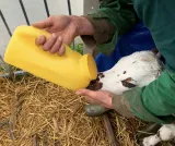 milk-bar-butelka-trening