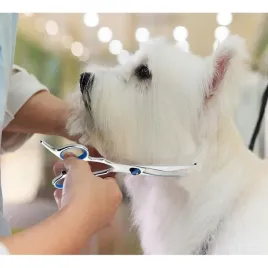 nozyczki-fryzjerskie-groomerskie-zestaw-do-strzyzenia-obcinania-psow-kotow