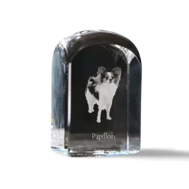 papillon-spaniel-kontynentalny-krysztalowa-kostka-ze-zdjeciem-zdjecie-p