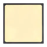 plafon-led-22w-echo-12369-22-globo-material-dominujacy-metal