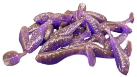 relax-guma-na-okonia-kopyto-1-35cm-1szt