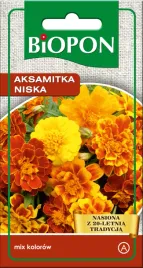 aksmitka-niska-mieszanka-1-g-nasiona-ogrodnicze