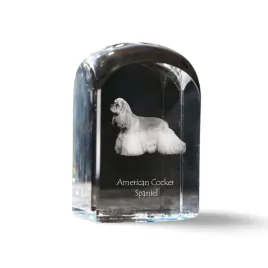 cocker-spaniel-amerykanski-krysztalowa-kostka-ze-zdjeciem-zdjecie-psa-w