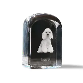 pudel-krysztalowa-kostka-ze-zdjeciem-zdjecie-psa-w-krysztale-szescienny