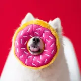 donut-truskawkowy-zippypaws-rodzaj-zabawki-pluszowe