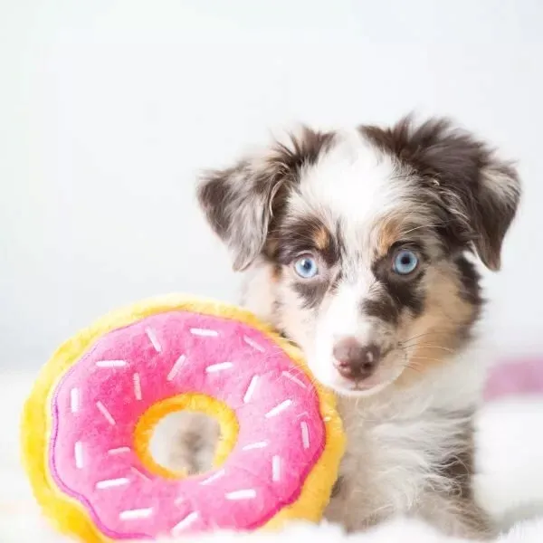 donut-truskawkowy-zippypaws-stan-opakowania-oryginalne