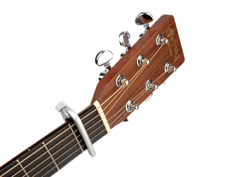 kapodaster-d-addario-cp-02s-pro-capo