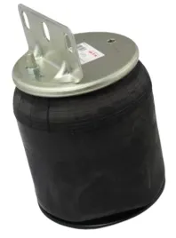 miech-poduszka-daf-55-tyl-kpl