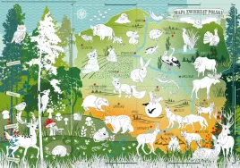 mapa-zwierzat-polski