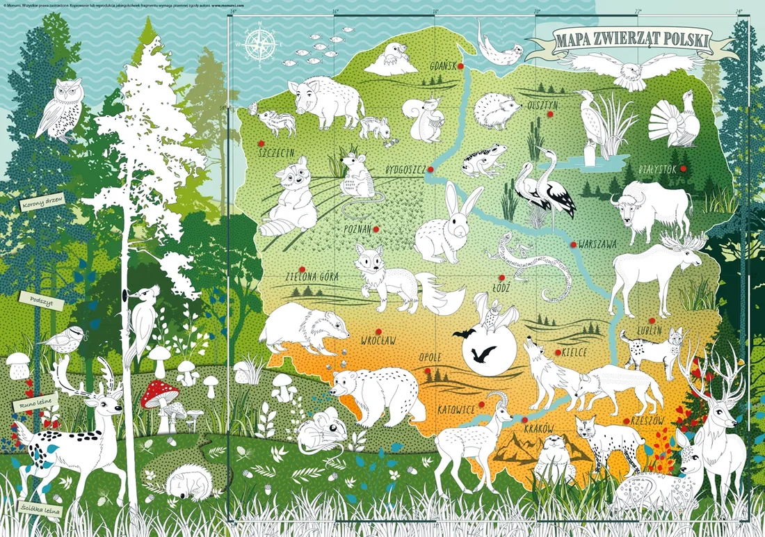mapa-zwierzat-polski