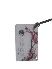 brelok-programowalny-rfid-125khz-em4305-epoksydowy-nr-41