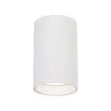 genesis-spot-1xgu10-10cm-bialy