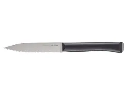 opinel-noz-kuchenny-intempora-new-serrated-10cm