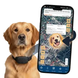 lokalizator-gps-4g-psa-kota-bez-abonamentu-uchwyt-dlugi-czas-pracy