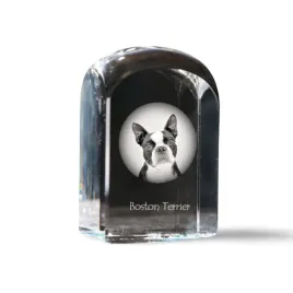 boston-terrier-boston-bull-terrier-krysztalowa-kostka-ze-zdjeciem-zdjec