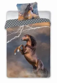 posciel-bawelniana-160x200-1-poszewka-70x80-mlodziezowa-kon
