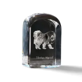 mastif-tybetanski-dog-tybetanski-krysztalowa-kostka-ze-zdjeciem-zdjecie