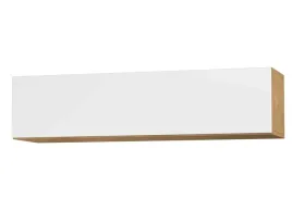 briks-wg-120-szafka-wiszaca-z-frontem-podnoszonym-do-gory-120-x-30cm