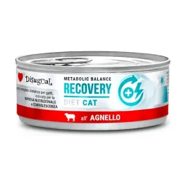 disugual-karma-dla-kota-weterynaryjna-recovery-jagniecina-85g