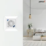 psmart-gniazdo-pomiar-usb-biale-rm-wifi-tuya-rodzaj-gniazdko
