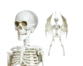 szkielet-ze-skrzydlami-halloween-kosci-czaszka-lalka-demon-skrzydla