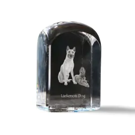 laekenois-owczarek-belgijski-krysztalowa-kostka-ze-zdjeciem-zdjecie-psa
