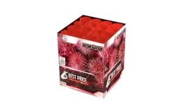 best-price-16s-c163bp-f2-10-1