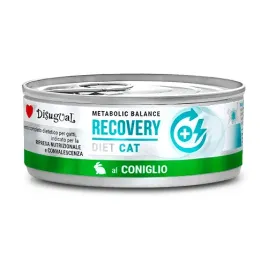 disugual-karma-dla-kota-weterynaryjna-recovery-krolik85g