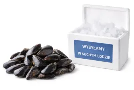 mule-w-muszlach-1kg-sea-story-malze-skorupy-w-suchym-lodzie