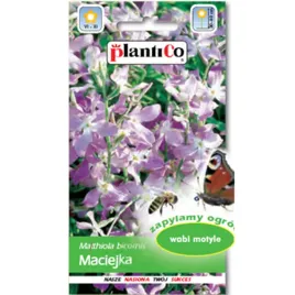 plantico-maciejka