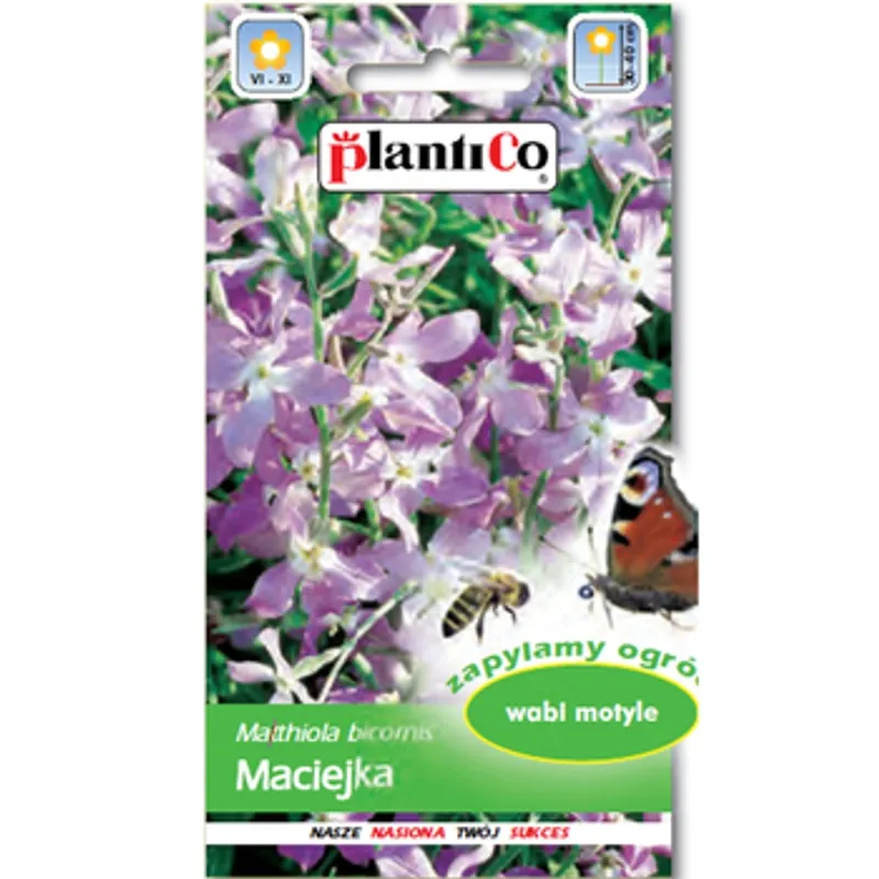 plantico-maciejka