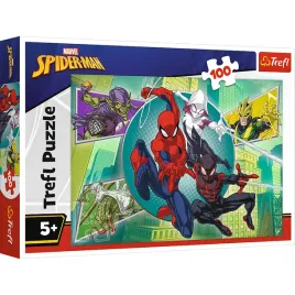 16519-100-pajecza-maska-disney-marvel-spiderman