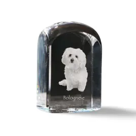 bolonczyk-bolognese-krysztalowa-kostka-ze-zdjeciem-zdjecie-psa-w-kryszt