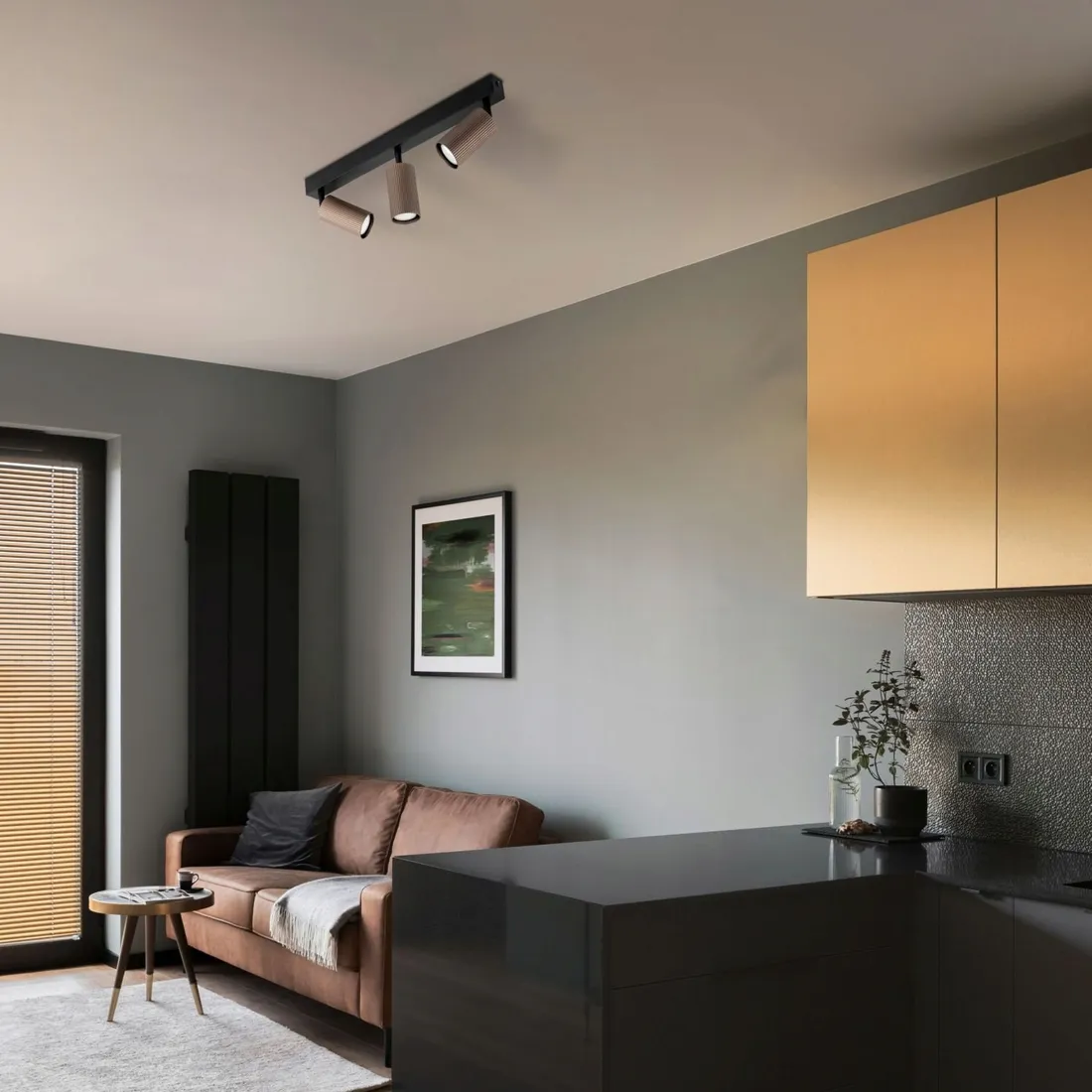 lampa-reflektor-spot-tune-brown-16148-tk-lighting