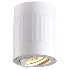 lampa-sufitowa-punktowa-regulowana-biala-tuba-spot-ozdobna-10-cm-ecolight