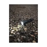 armytek-predator-pro-magnet-usb-white-zrodlo-swiatla-led