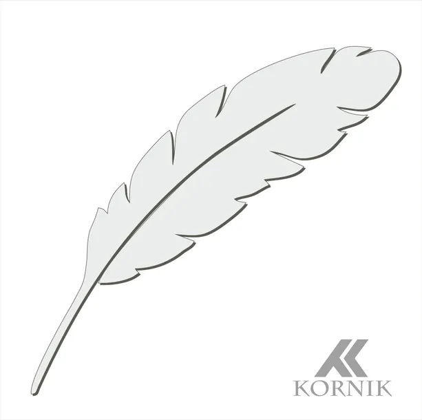 lustro-akrylowe-pioro-blasku-wykonanie-gotowe