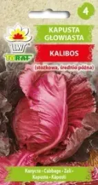 kapusta-glowiasta-czerwona-kalibos-srednio-pozna-stozkowa