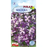 maciejka-polan