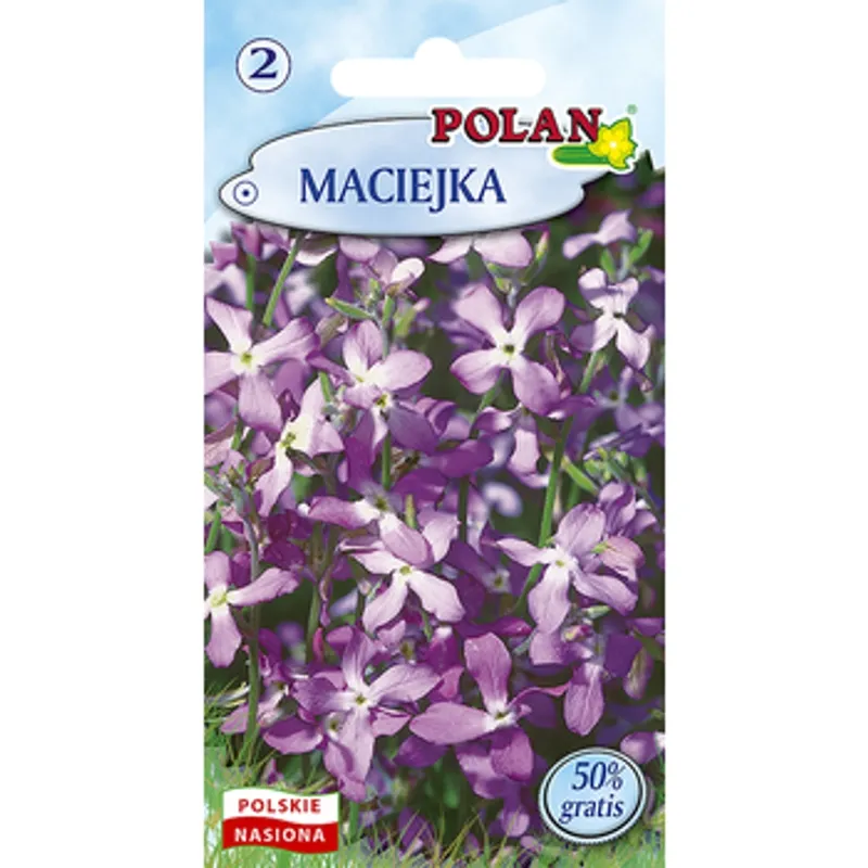 maciejka-polan