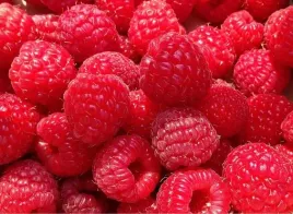 nawoz-wiosenny-do-truskawek-i-malin-emeralld-home-complex-175-kg