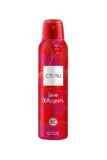 c-thru-love-whisper-deo-spray-150ml
