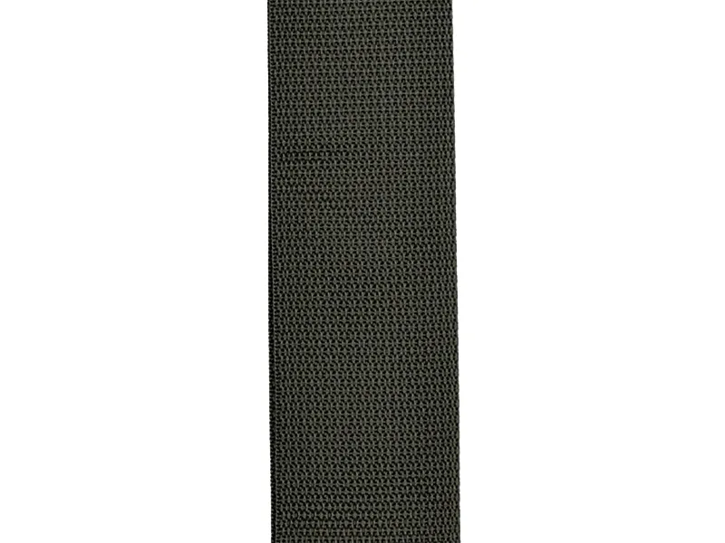 pasek-d-addario-planet-lock-poly-pro-bk